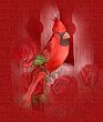 Cardinal